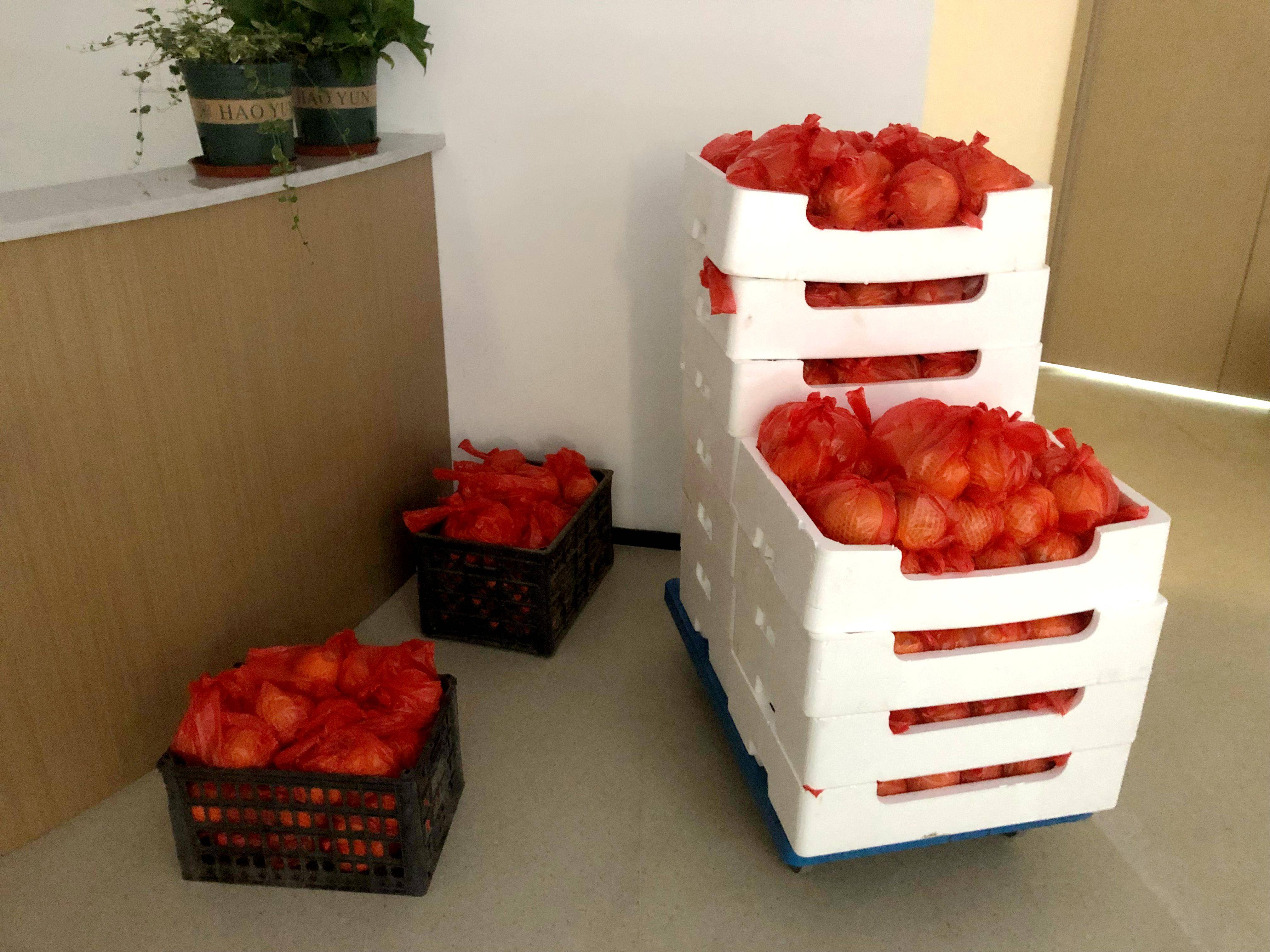 e6cc11c1e46d1222_12_0 e6cc11c1e46d1222_12_0