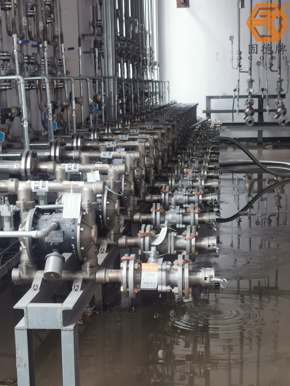 1715906896-9353.jpg 1715906896-9353.jpg