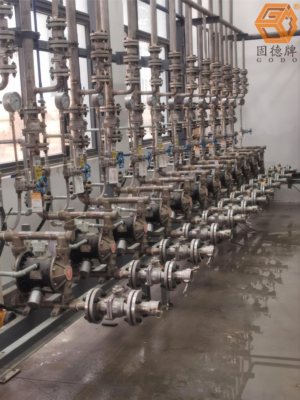 1715907570-8000.jpg 1715907570-8000.jpg