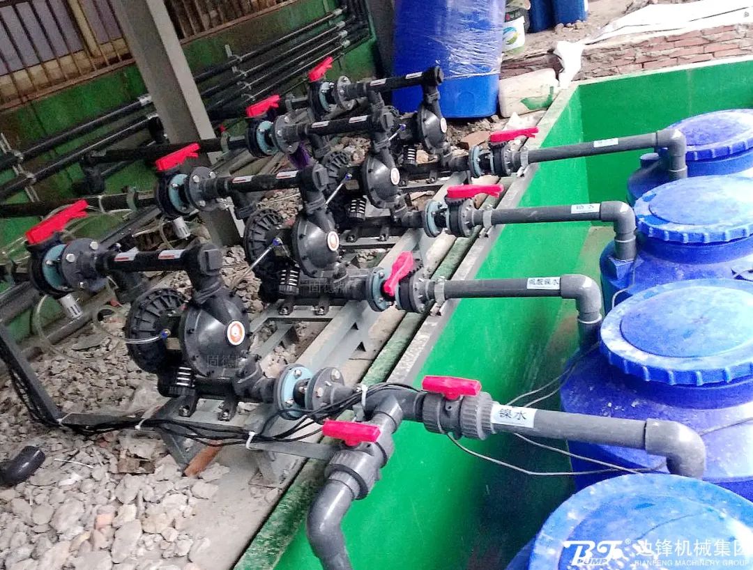 1718069211-9631.jpg 1718069211-9631.jpg