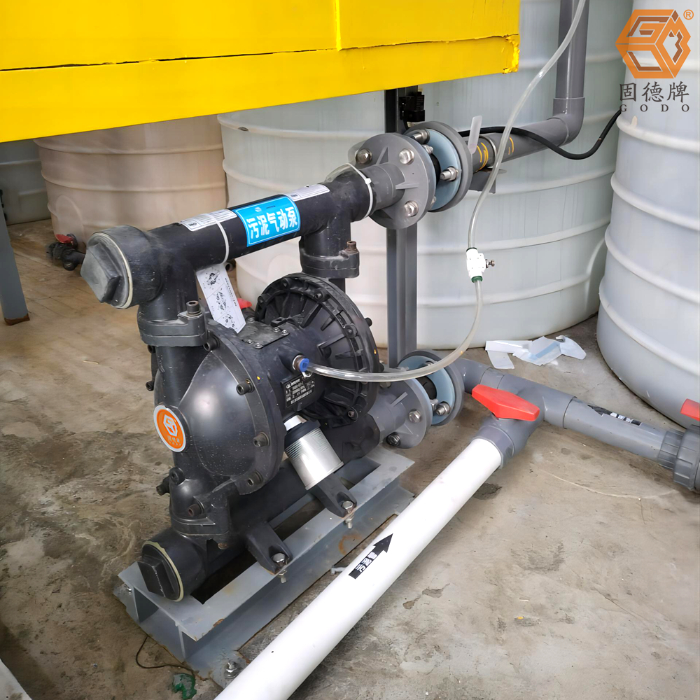 1718676239-9248.jpg 1718676239-9248.jpg