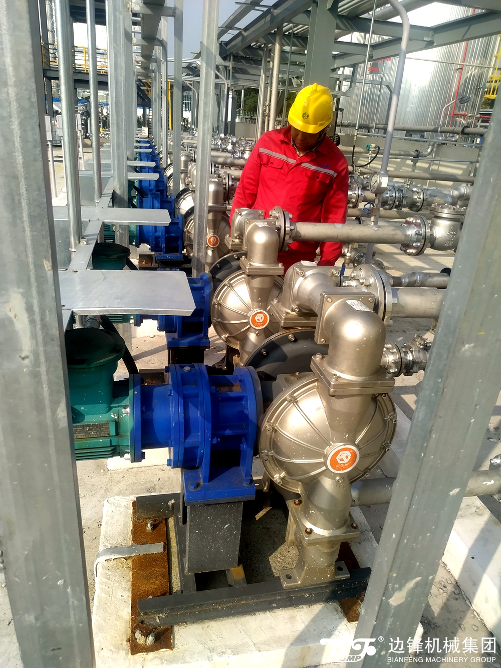 1724895554-8457.jpg 1724895554-8457.jpg