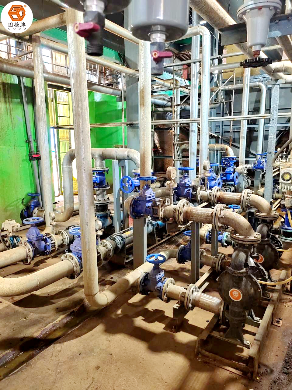 IMG_20230905_140858 IMG_20230905_140858